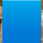 Skypeデスクトップ版　特定のトークを選ぶとウインドが真っ青になる